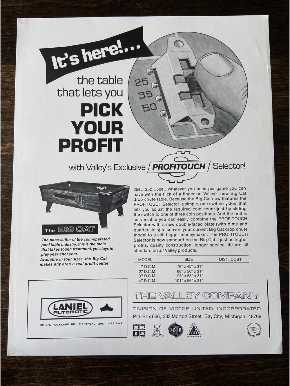 Valley Big Cat Arcade Pinball FLYER Original Ad Promo Poster Not PCB